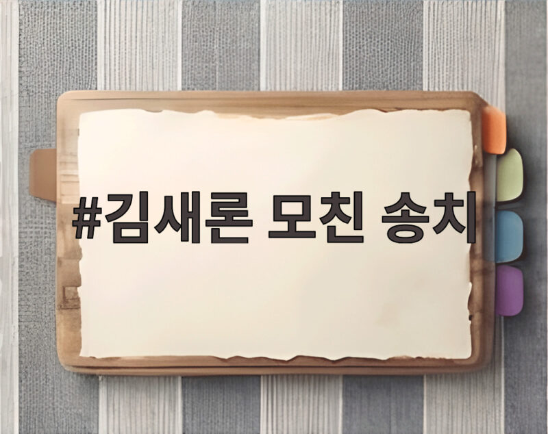 김새론 모친 송치 검찰 수사 결과와 김수현 측 입장 정리 1 김새론 모친 송치