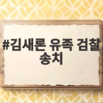 김새론 유족 검찰 송치 가짜이모와 변호사도 함께 넘겨졌다 김새론 유족 검찰 송치