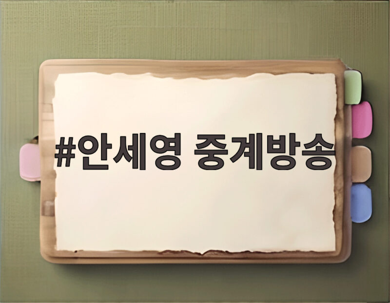 안세영 중계방송