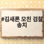 김새론 모친 검찰 송치 허위사실 유포 공범들 처벌 수위는 김새론 모친 검찰 송치