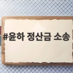 윤하 정산금 소송 14년 소속사 C9 상대 9억5천만원 청구와 계약 해지 윤하 정산금 소송