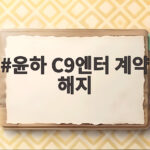 윤하 C9엔터 계약 해지 정산금 미지급 소송까지 윤하 C9엔터 계약 해지