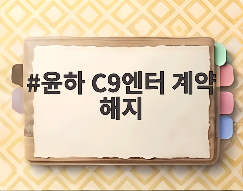 윤하 C9엔터 계약 해지 정산금 미지급 소송까지 1 윤하 C9엔터 계약 해지