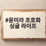 윤미라 초호화 싱글 라이프 한강뷰 집과 200만원 호텔 회원권 공개 윤미라 초호화 싱글 라이프