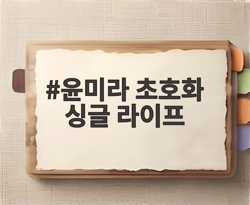 윤미라 초호화 싱글 라이프 한강뷰 집과 200만원 호텔 회원권 공개 1 윤미라 초호화 싱글 라이프