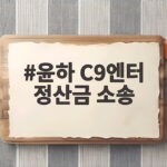 윤하 C9엔터 정산금 소송 9억 5000만원 미지급 전속계약 해지 윤하 C9엔터 정산금 소송