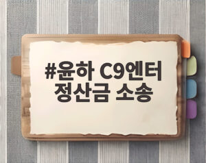 윤하 C9엔터 정산금 소송