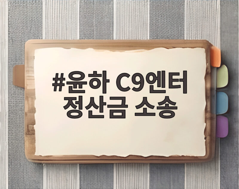 윤하 C9엔터 정산금 소송 9억 5000만원 미지급 전속계약 해지 1 윤하 C9엔터 정산금 소송