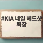 KIA 네일 헤드샷 퇴장 57구 호투가 멈춘 진짜 이유 KIA 네일 헤드샷 퇴장