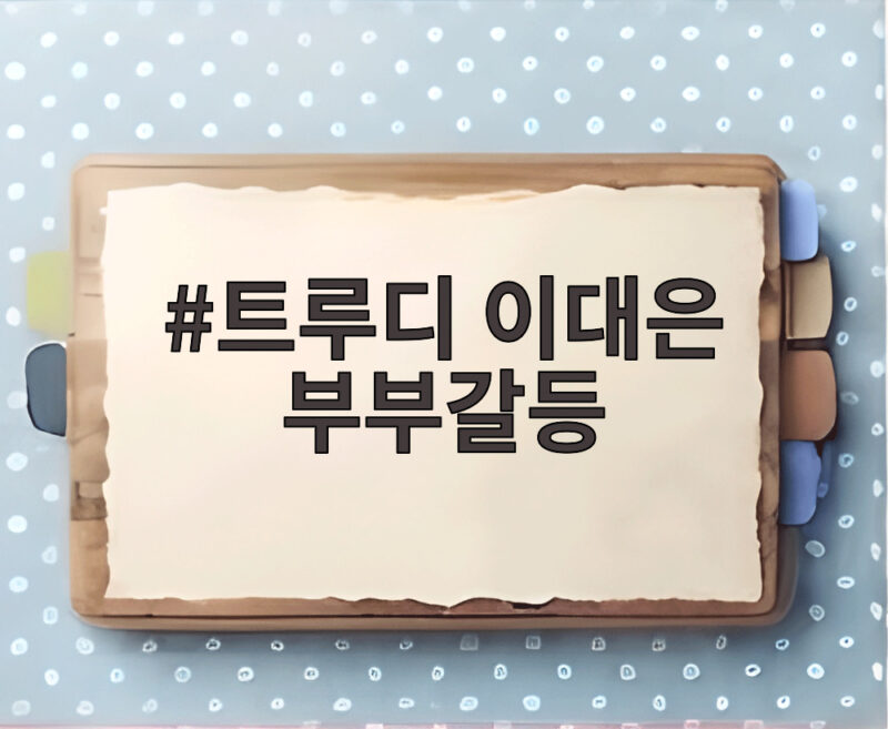 트루디 이대은 부부갈등 연애 기간 한 번도 안 싸운 게 오히려 병이 됐다 1 트루디 이대은 부부갈등