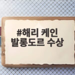 해리 케인 발롱도르 수상 손흥민 절친 세계 정상에 서다 해리 케인 발롱도르 수상