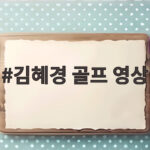 김혜경 골프 영상 상영 불허를 둘러싼 국감 공방 살펴보니 김혜경 골프 영상