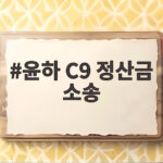 윤하 C9 정산금 소송