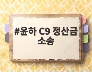 윤하 C9 정산금 소송