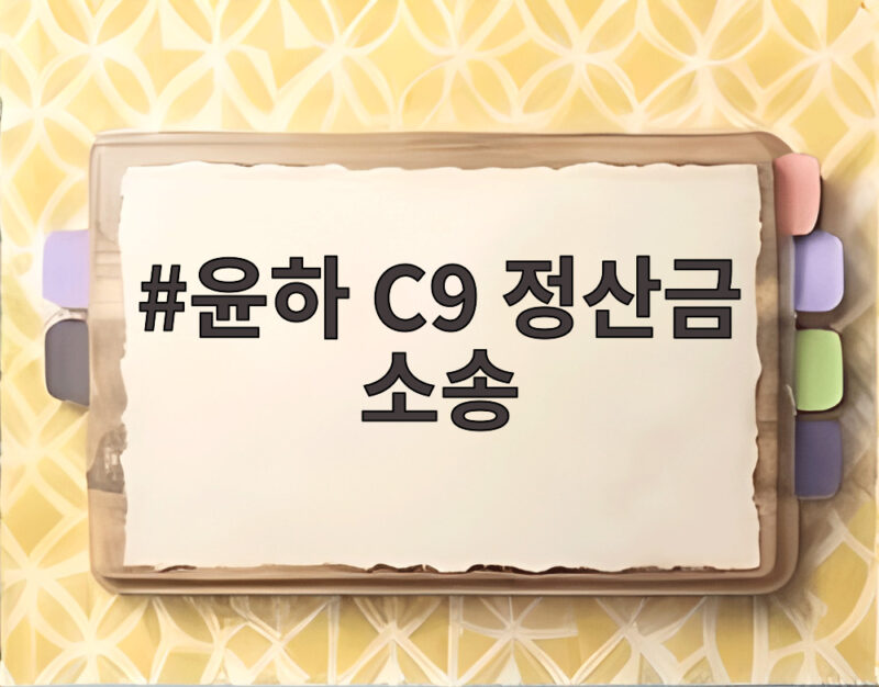 윤하 C9 정산금 소송