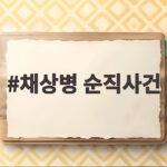 채상병 순직사건