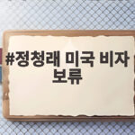 정청래 미국 비자 보류 국정감사 일정 변경 논란 정리 정청래 미국 비자 보류