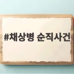 채상병 순직사건