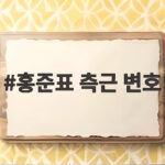 홍준표 측근 변호 직접 법원에 나타난 이유와 사건 의혹 핵심 정리 홍준표 측근 변호