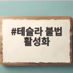 테슬라 불법 활성화