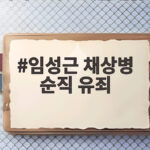 임성근 채상병 순직 유죄 확정 그 후 남은 의혹들 임성근 채상병 순직 유죄
