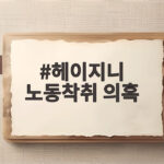 헤이지니 노동착취 의혹 전 직원 추가 폭로와 재조명 헤이지니 노동착취 의혹