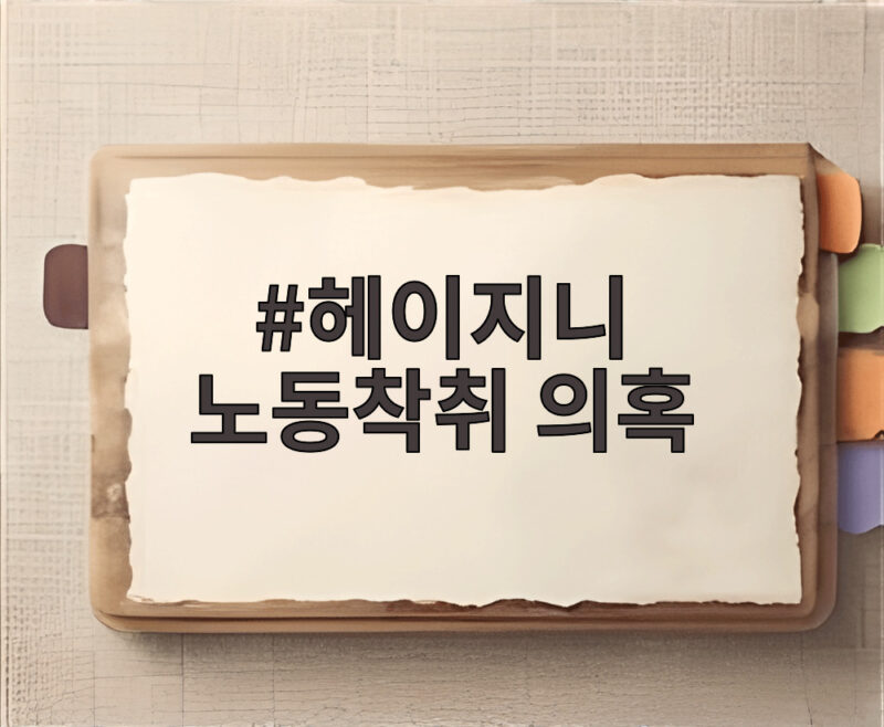헤이지니 노동착취 의혹 전 직원 추가 폭로와 재조명 1 헤이지니 노동착취 의혹