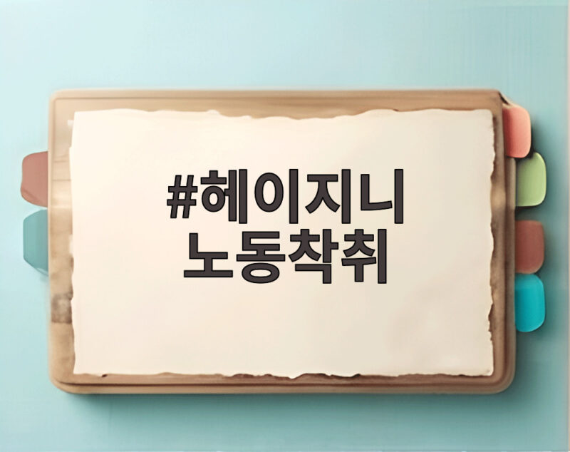 헤이지니 노동착취 폭로 전직원 추가 증언 내용 살펴보니 1 헤이지니 노동착취