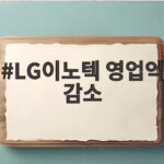 LG이노텍 영업익 감소