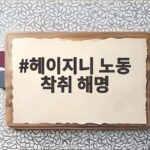 헤이지니 노동 착취 해명 알아보니 연봉 인상과 노무사 소개 있었다 헤이지니 노동 착취 해명