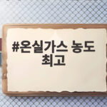 온실가스 농도 최고 또 갱신 지구가 보내는 경고를 확인하세요 온실가스 농도 최고