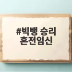 빅뱅 승리 혼전임신 소식과 특수폭행 논란 정리 빅뱅 승리 혼전임신