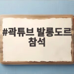 곽튜브 발롱도르 참석 호나우두와 만난 현장을 한눈에 곽튜브 발롱도르 참석