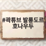곽튜브 발롱도르 호나우두