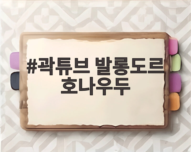 곽튜브 발롱도르 호나우두 투샷 공개 팬들 반응 뜨겁다 1 곽튜브 발롱도르 호나우두