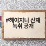 헤이지니 산재 녹취 공개 전 직원 주장과 입장 정리 헤이지니 산재 녹취 공개