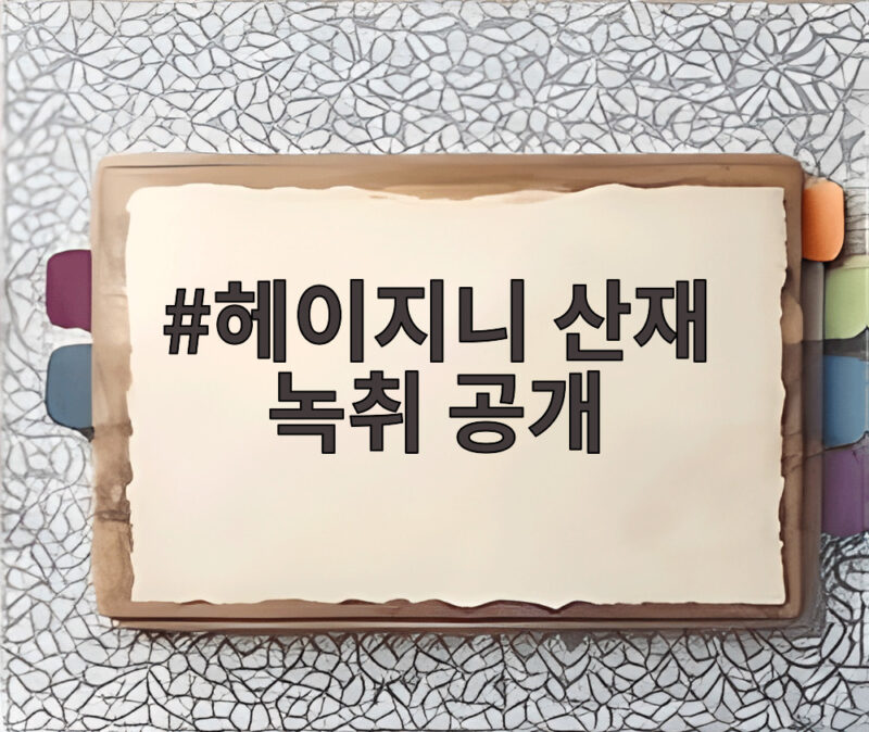 헤이지니 산재 녹취 공개 전 직원 주장과 입장 정리 1 헤이지니 산재 녹취 공개