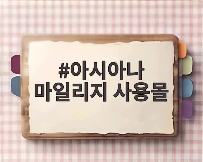 아시아나 마일리지 사용몰에서 항공권 대신 뭘 살 수 있을까 1 아시아나 마일리지 사용몰