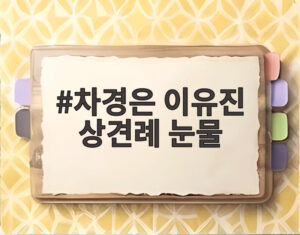 차경은 이유진 상견례 눈물