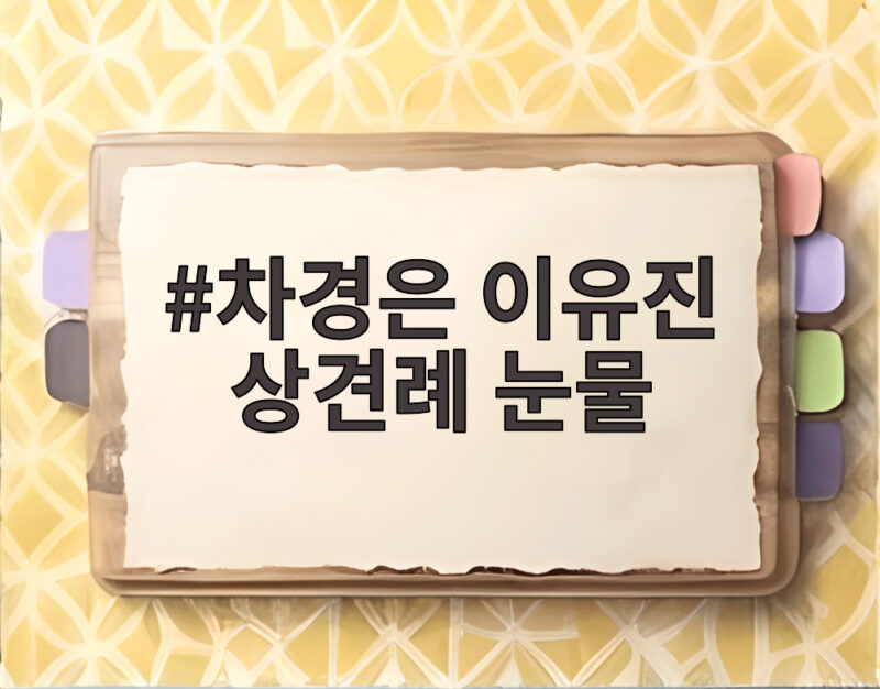 차경은 이유진 상견례 눈물 이효정 발언에 숨은 사연과 결혼 임신 1 차경은 이유진 상견례 눈물