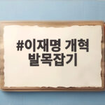 이재명 개혁 발목잡기