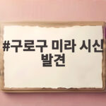 구로구 미라 시신 발견 사건 경찰이 붙잡은 용의자와 수사 상황 구로구 미라 시신 발견