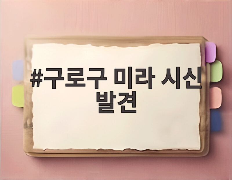 구로구 미라 시신 발견 사건 경찰이 붙잡은 용의자와 수사 상황 1 구로구 미라 시신 발견