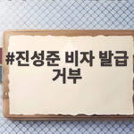 진성준 비자 발급 거부