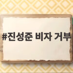 진성준 비자 거부