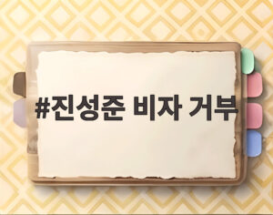 진성준 비자 거부