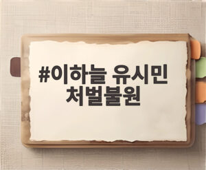 이하늘 유시민 처벌불원
