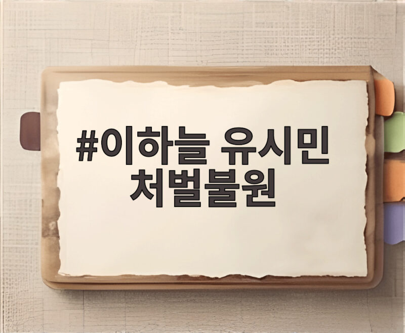 이하늘 유시민 처벌불원 발언에 불쾌감을 드러낸 이유 1 이하늘 유시민 처벌불원