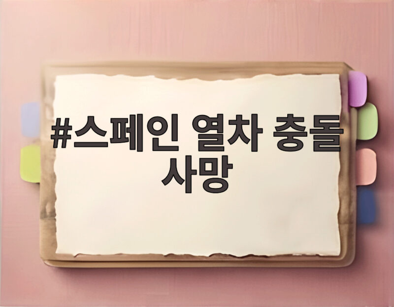 스페인 열차 충돌 사망