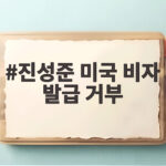 진성준 미국 비자 발급 거부